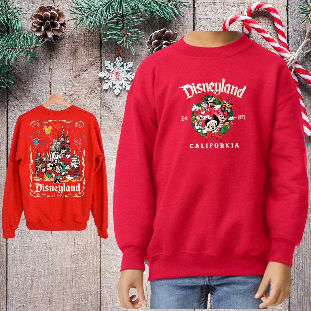 Kids Disnylnd Christmas Sweater