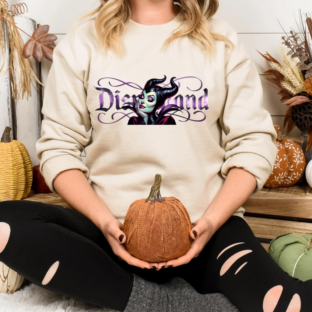 Disnylnd Mal Sweater