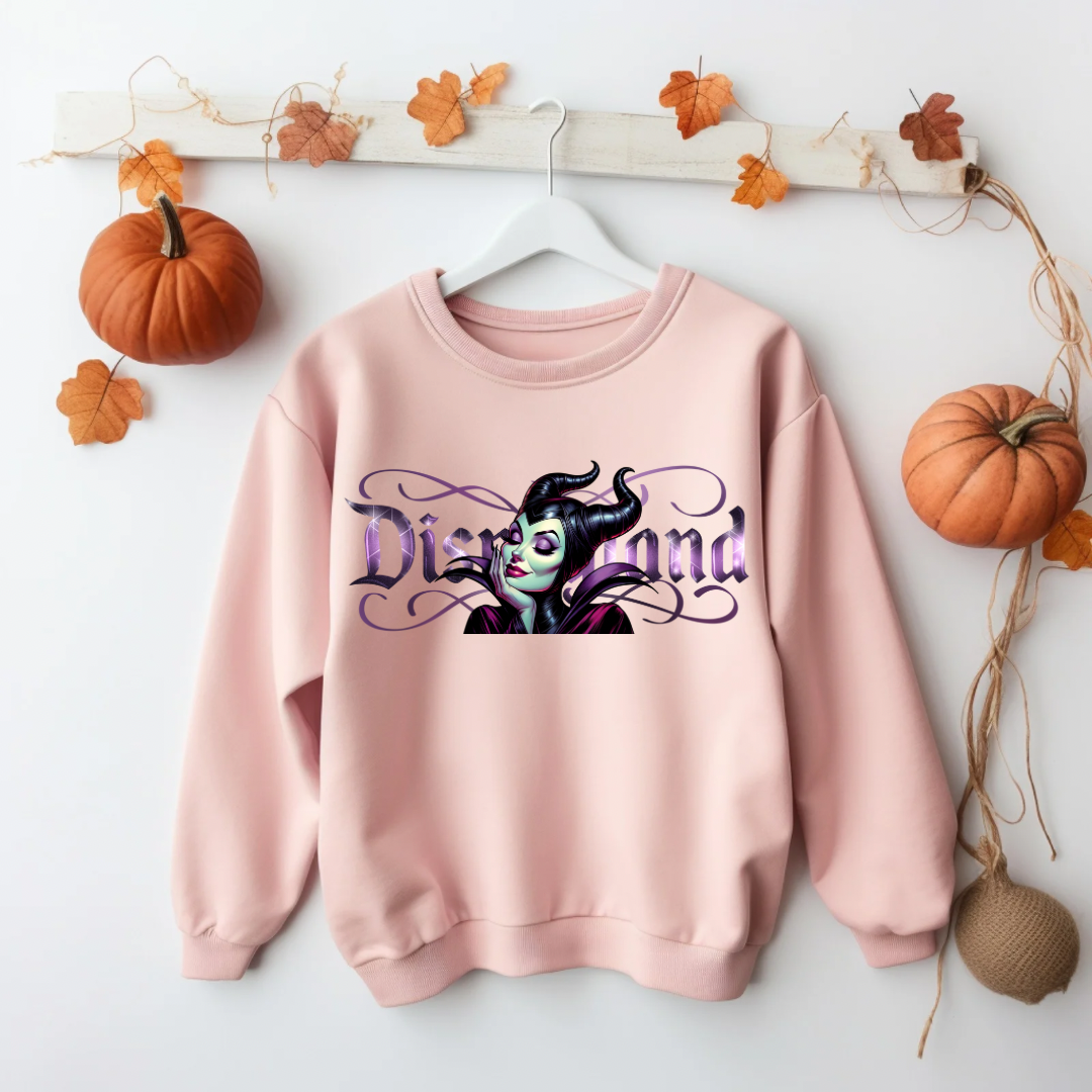 Disnylnd Mal Sweater